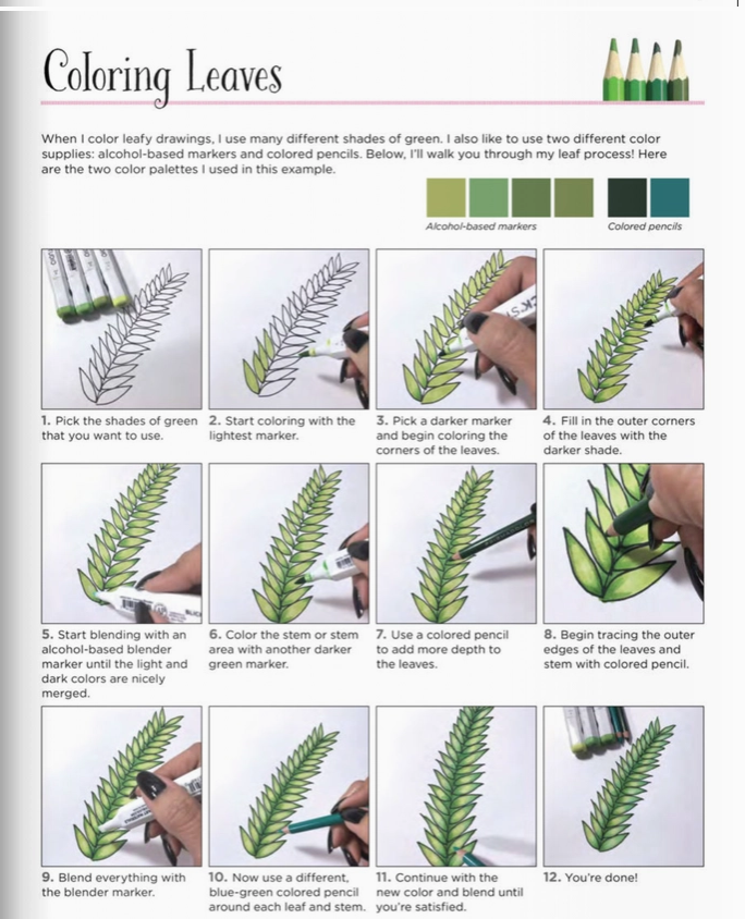 Beautiful Blooms Coloring Book
