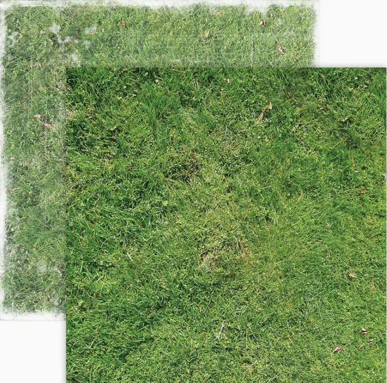 Grass Scrapbook Sheet