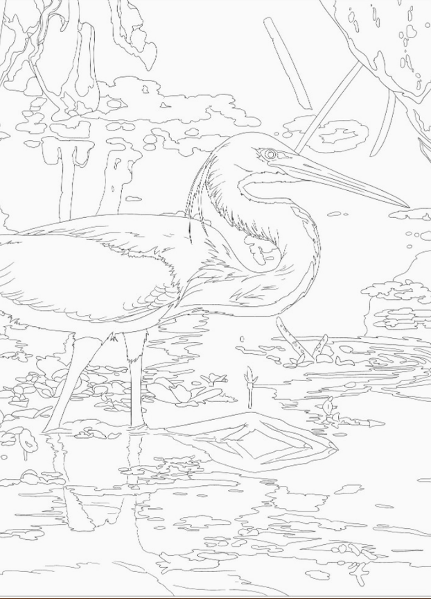 National Parks Coloring Book