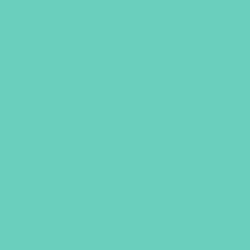 Oracal 631 Adhesive Vinyl
