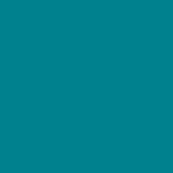 Oracal 651 Adhesive Vinyl - Gloss (Indermediate Cal)