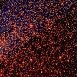 Oracal 851 12"x10' Rolls