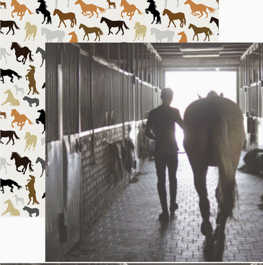 Horses Scrapbook Paper