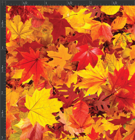 Printed Gloss Adhesive Vinyl - NATURE