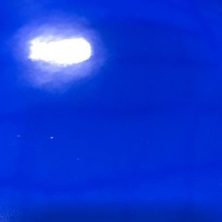 Oracal 8300 Transparent Cal Adhesive Vinyl