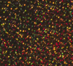 Siser Holographic Heat Transfer Vinyl