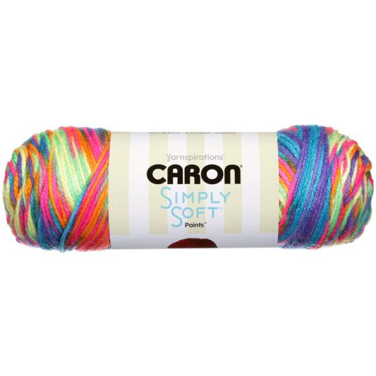 Caron Simply Soft Paints Yarn - Rainbow