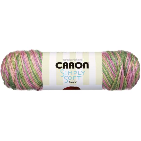 Caron Simply Soft Paints Yarn - Rose Garden