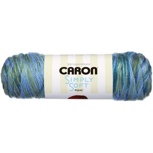Caron Simply Soft Paints Yarn - Spring Brook