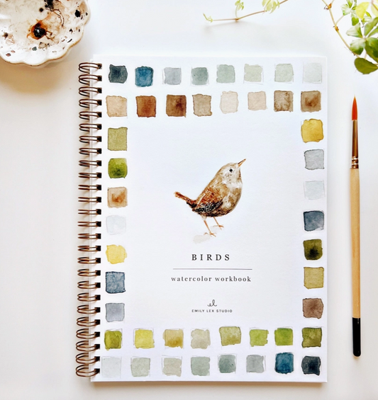 Birds Watercolor Workbook
