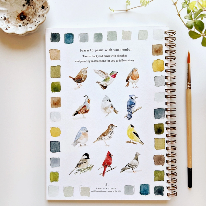 Birds Watercolor Workbook